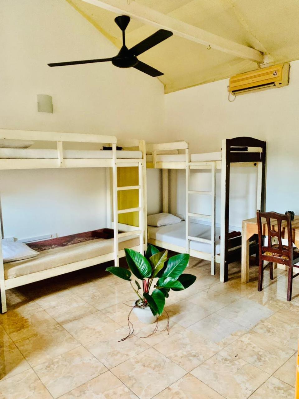 Dreamy Surf House Weligama Exterior foto